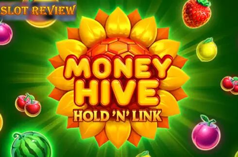 Money Hive Hold N Link icon